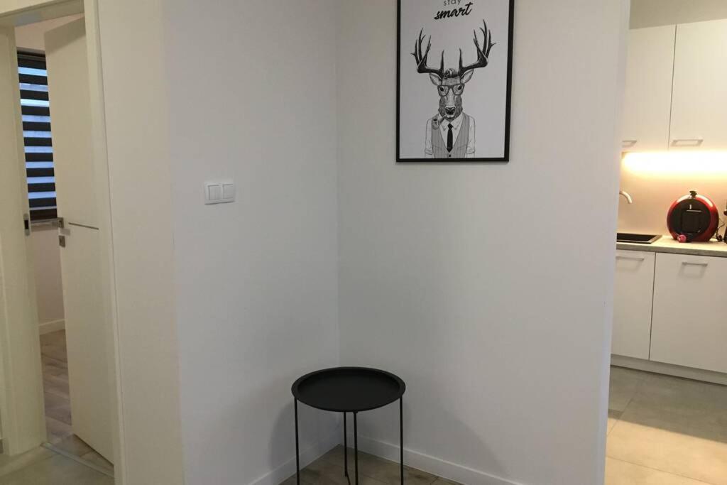 Apartament Fibra Americano Rybnik  Exterior photo